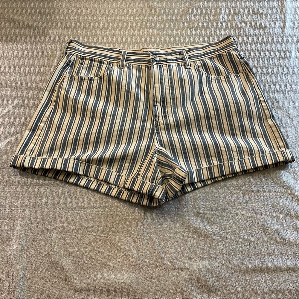 NWOT - American Eagle - Size 14 - Blue and White Striped “Mom” Shorts - Picture 3 of 10